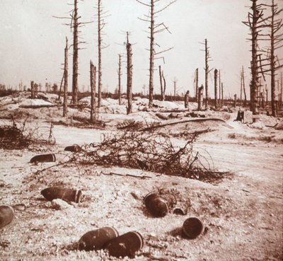 Granaten, Verdun, Noord-Frankrijk, ca. 1914-1918 door Unbekannt