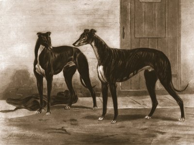 Simonian en Fullerton, c1891, 1911 door Unbekannt