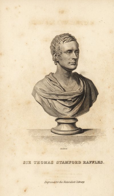Sir Thomas Stanford Raffles, Brits staatsman, schrijver en natuuronderzoeker door Unbekannt