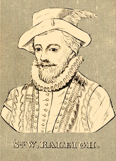 Sir W. Raleigh, c1552-1618 door Unbekannt