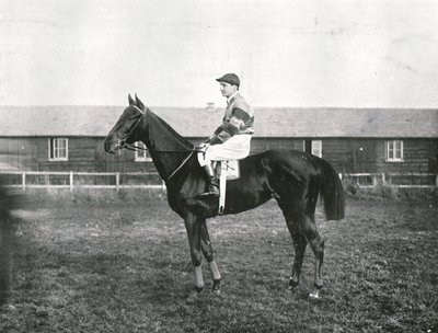 Wolkenkrabber, 1911 door Unbekannt