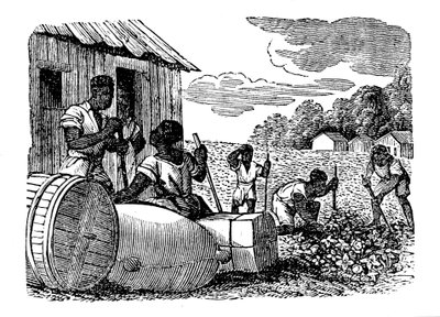 Slaven die werken op een tabaksplantage, 1833 door Unbekannt
