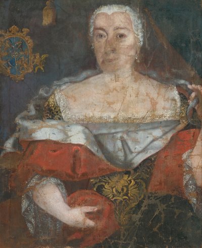 Slowaakse Schilder rond het Midden van de 18e Eeuw - Portret van een Zemianka in een Brokaat Mantel door Unbekannt