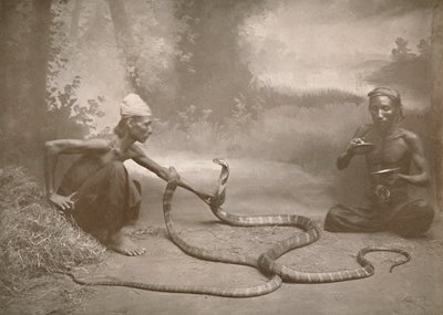 Slangenbezweerders met Hamadryaden Kuy Cobra