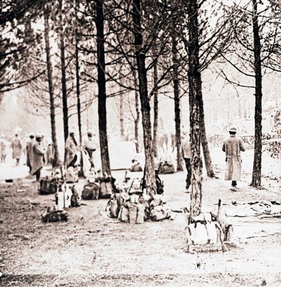 Soldaten en pakken in het bos, ca. 1914-ca. 1918 door Unbekannt