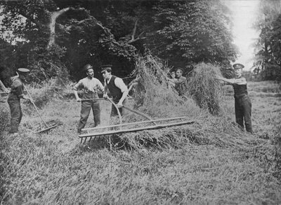 Soldaten helpen de boeren met het binnenhalen van het hooi door Unbekannt