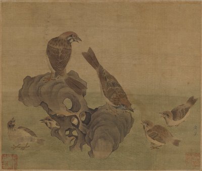 Mussen die hun jongen voeden, Ming of Qing-dynastie, 17e eeuw door Unbekannt