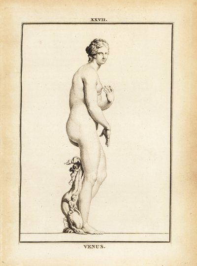 Beeld van Venus, Romeinse godin van liefde, schoonheid, seks en vruchtbaarheid door Unbekannt