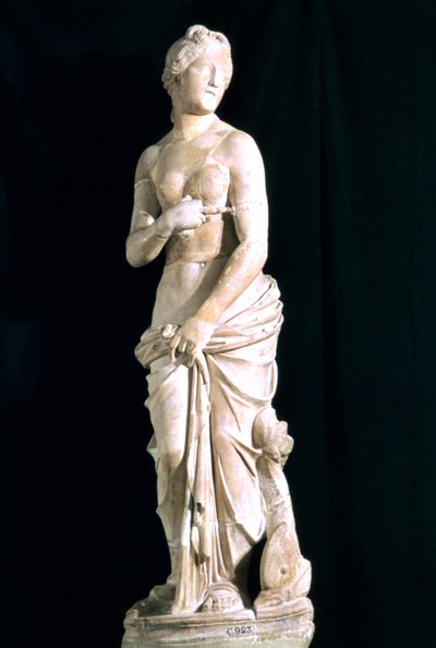 Standbeeld van de kuise Venus, uit Carthago door Unbekannt