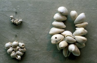 Snoeren van kaurischelpen door Unbekannt