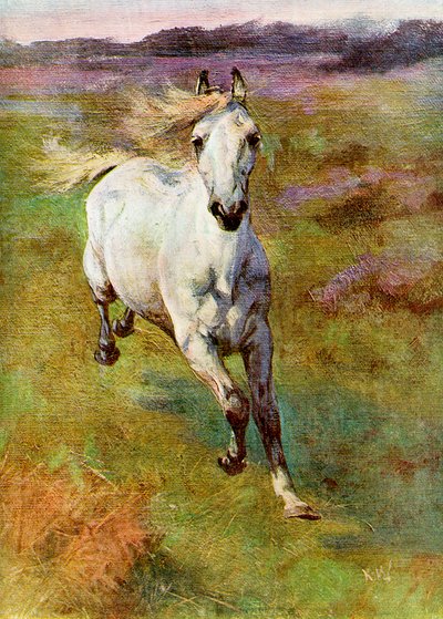 Studie uit het leven voor veulenjacht in het New Forest, 1899 door Unbekannt
