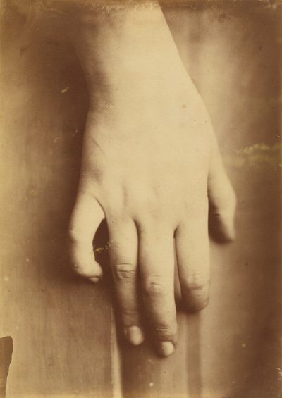 Studie van een hand door Unbekannt