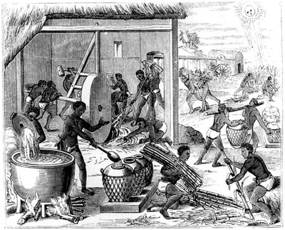 Suikerproductie, 1873 door Unbekannt