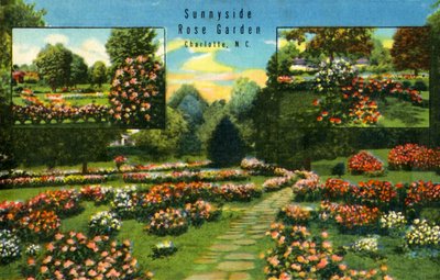 Sunnyside Rozentuin, Charlotte, N.C., 1942 door Unbekannt
