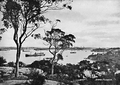 Sydney Harbour, vanaf Cremorne Point, ca. 1900 door Unbekannt