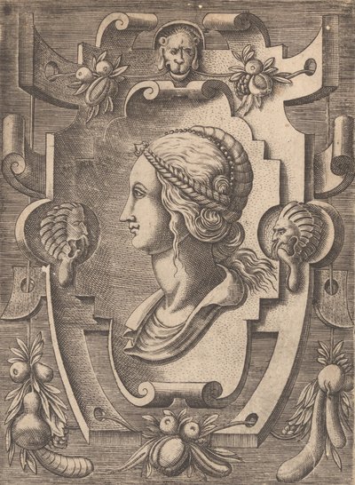 Targhe ed altri ornati di varie e capricciose invenzioni Cartouches en andere ornamenten o... door Unbekannt