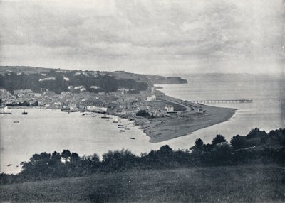 Teignmouth - Algemeen uitzicht op de Dene, 1895 door Unbekannt