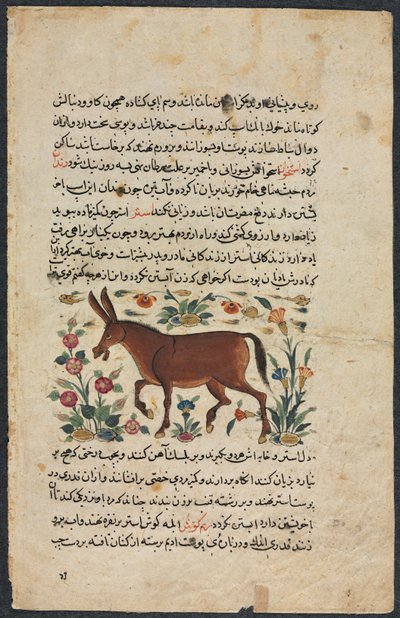 Tekstpagina, Perzische Proza Recto, Khar Ass Verso, 1400s door Unbekannt