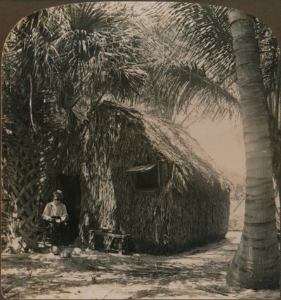 Strohuisje in Cocoanut Grove, Florida, VS, ca. 1900 door Unbekannt