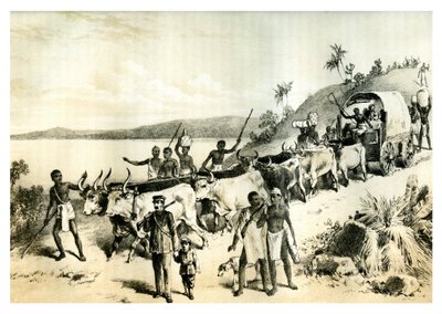 De aankomst bij Lake Ngami, 1883 door Unbekannt