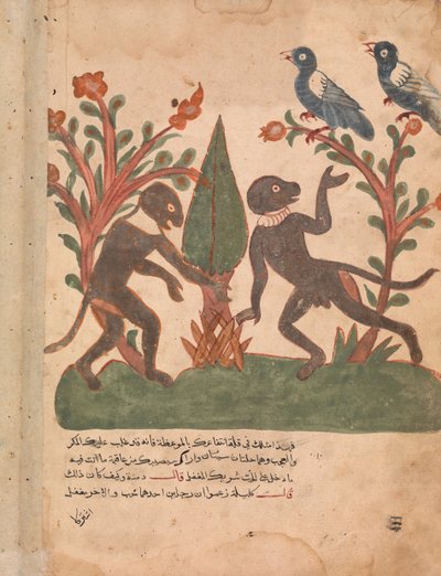 De Vogels en de Apen met de Gloeiworm, Folio uit een Kalila wa Dimna, 18e eeuw door Unbekannt