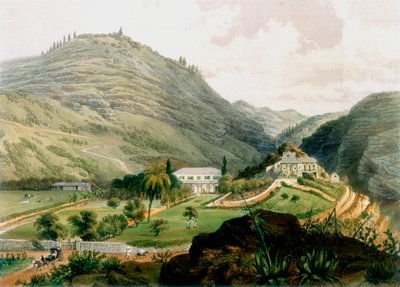 The Briars, St. Helena, begin 19e eeuw, 1851 door Unbekannt