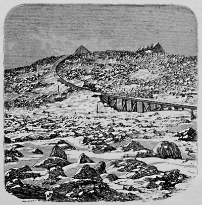 Het depot en het topstation, Mount Washington, 1883 door Unbekannt