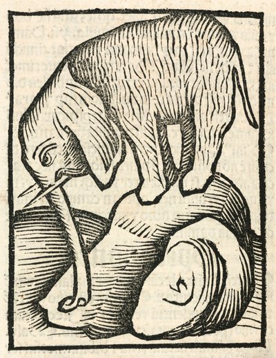 De Olifant door Unbekannt