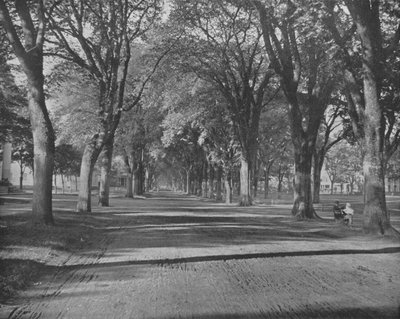The Elms, New Haven, Connecticut, VS, c1900 door Unbekannt