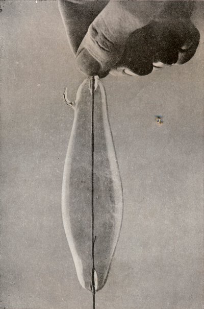 De eerste gloeilamp, ca. 1916 door Unbekannt