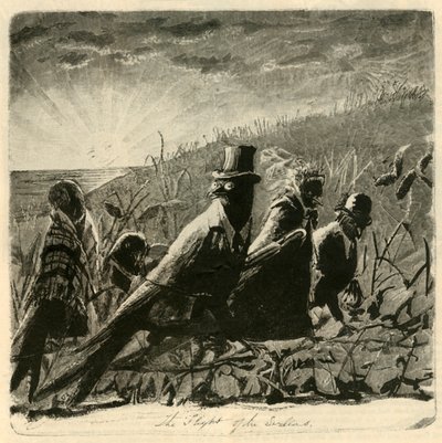 De Vlucht van de Zwaluwen, 1882 door Unbekannt