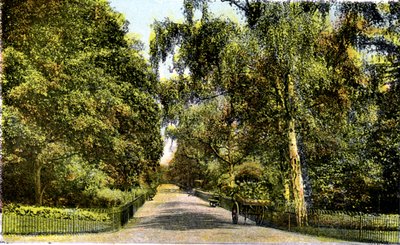 De Bloemenwandeling, Kensington Gardens, Londen door Unbekannt