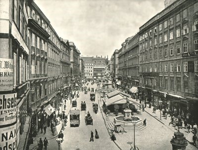 De Graben, Wenen, Oostenrijk, 1895 door Unbekannt