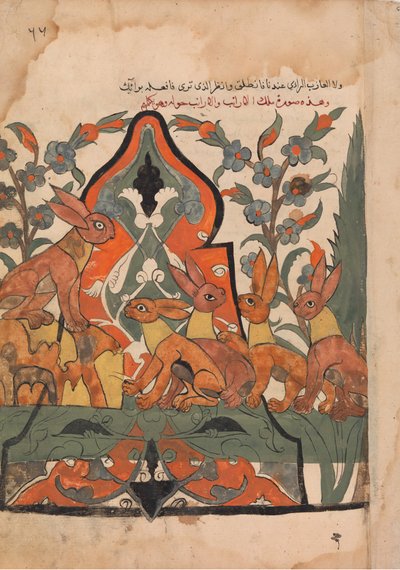 De Koning van de Hazen in Raad met zijn Onderwerpen, Folio uit een Kalila wa Dimna, 18e eeuw door Unbekannt