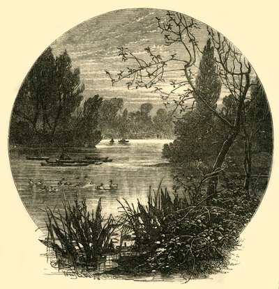 Het meer, Battersea Park, c1878 door Unbekannt