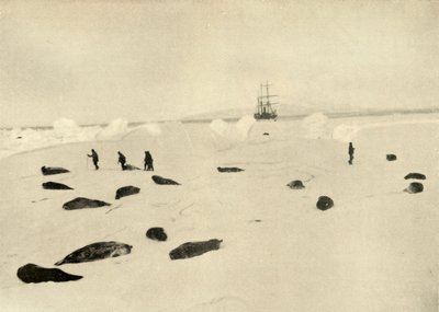 De Nimrod bij Pram Point op 4 maart 1909 door Unbekannt