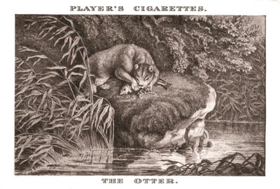 De Otter, 1924 door Unbekannt
