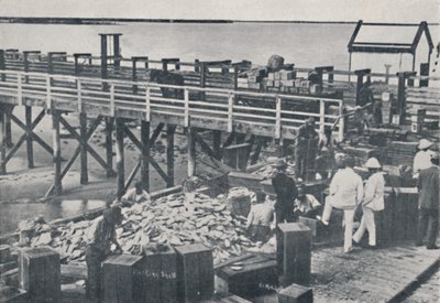De Parelvisserij - Inpakken van Schelpen door Unbekannt