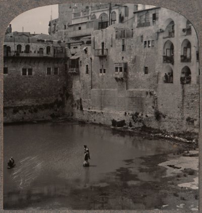 De vijver van Hizkia, Jeruzalem, c1900 door Unbekannt