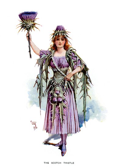 De Schotse distel, 1899 door Unbekannt