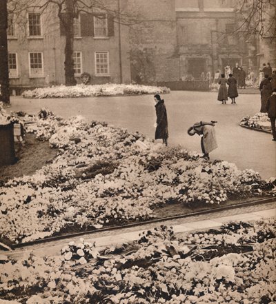 De staatsbegrafenis van koning George V in Windsor: herdenkingskransen door Unbekannt