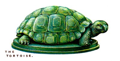 De Schildpad, 1923 door Unbekannt