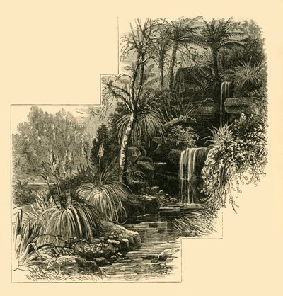 De Tropische Tuinen, Battersea Park, c1878 door Unbekannt