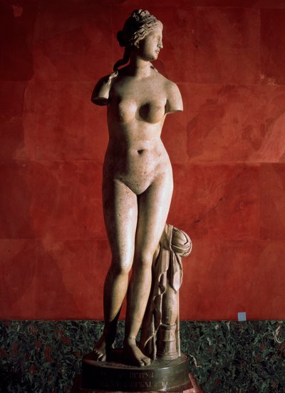 De Venus Tauride of Venus van Tauris door Unbekannt