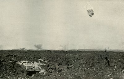 De Wolbeer, 1919 door Unbekannt