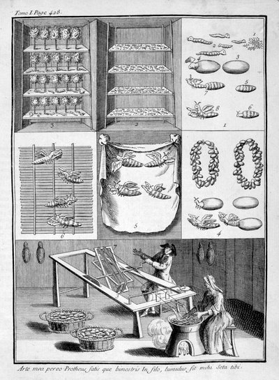 De kweek van zijderupsen, 1775 door Unbekannt