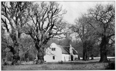 De kelder op het Vergelegen wijnlandgoed, Zuid-Afrika, 1931 door Unbekannt