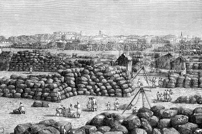 De katoenmarkt in Bombay, India, 1895 door Unbekannt