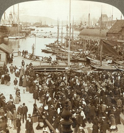 De haven, N.W. vanaf de markt in Bergen, de grootste vismarkt van Noorwegen, ca. 1905 door Unbekannt