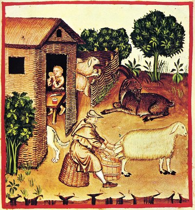 De productie van kaas. Een miniatuur uit Tacuinum Sanitatis, Tweede Helft van de 14e eeuw door Unbekannt